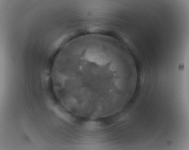 X0000114650691200910201509