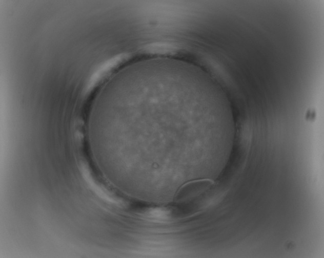 X0000114650692200910201509