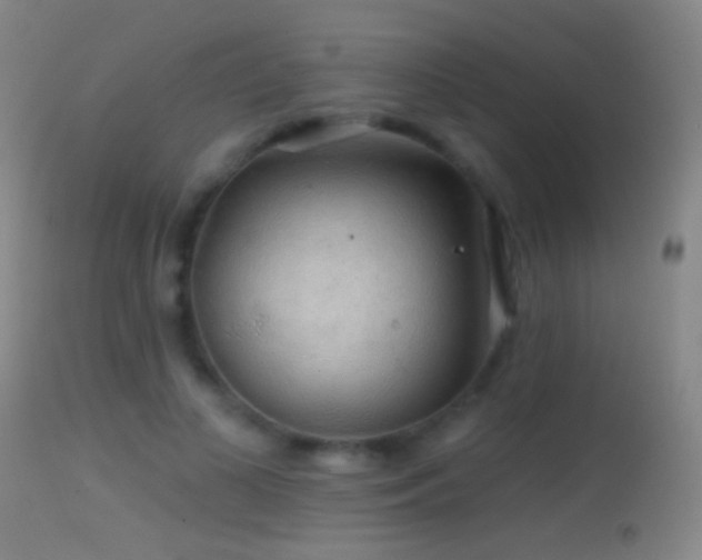 X0000114650693200910201509