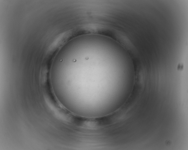 X0000114650694200910201509