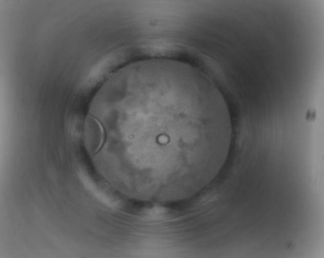 X0000114650695200910201509