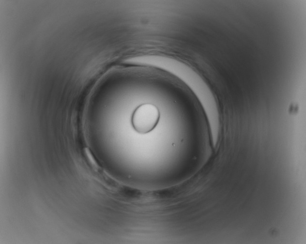 X0000114650696200910201509