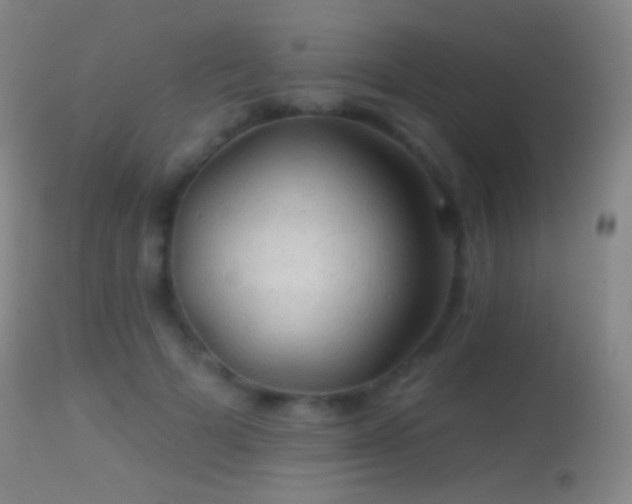 X0000114650697200910201509