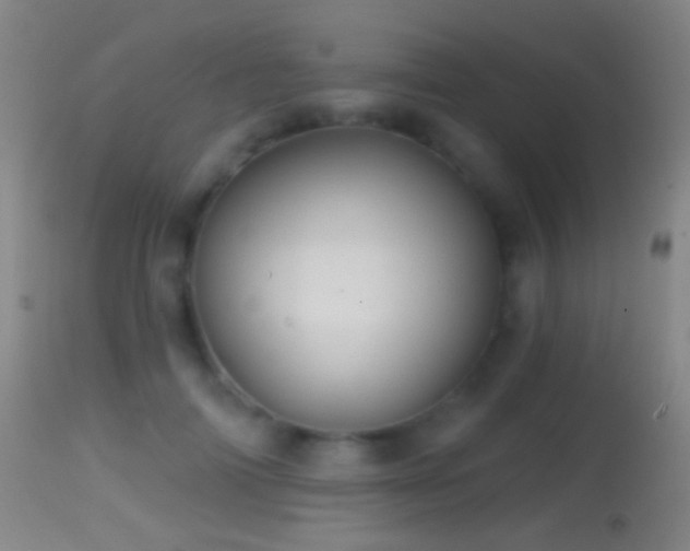 X0000114650698200910201509