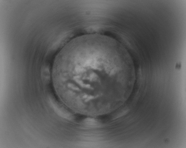 X0000114650699200910201509