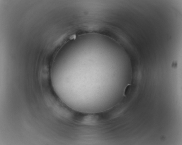 X0000114650700200910201509