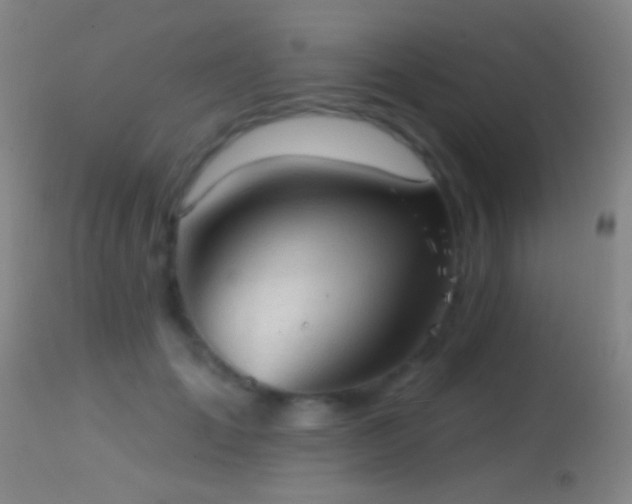 X0000114650701200910201509