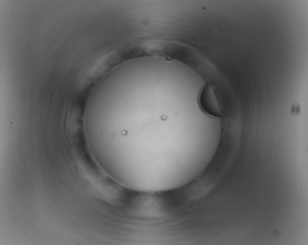 X0000114650702200910201509