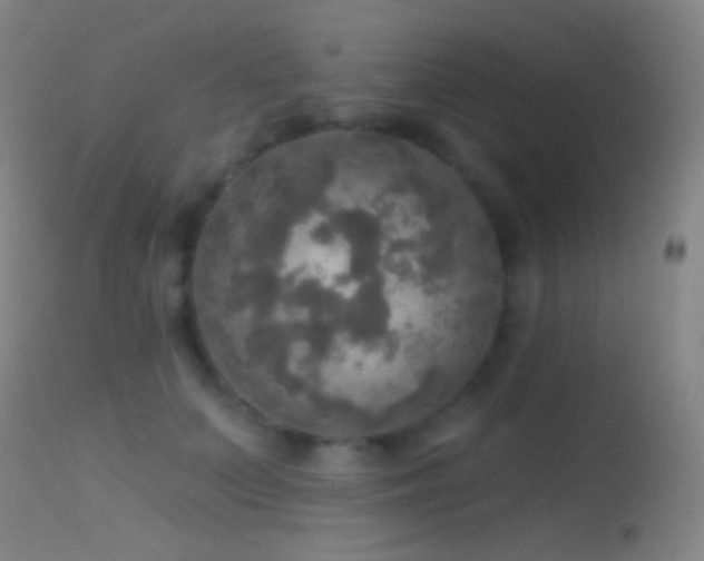 X0000114650703200910201509