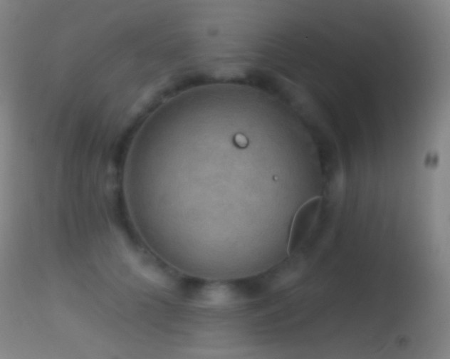 X0000114650704200910201509