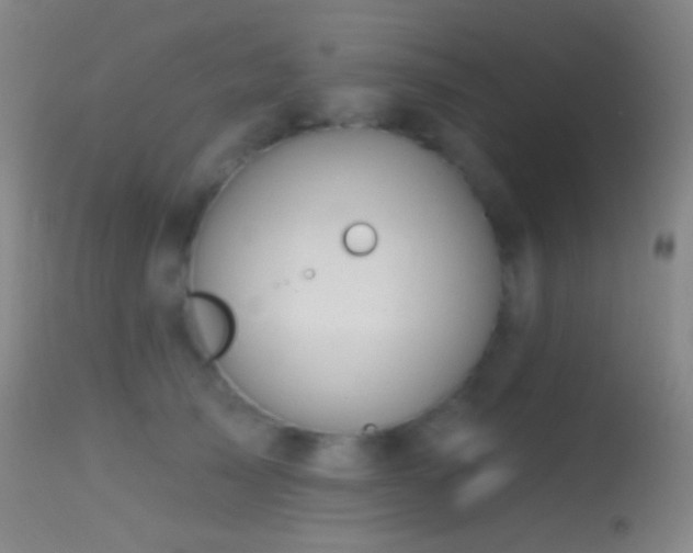 X0000114650705200910201509