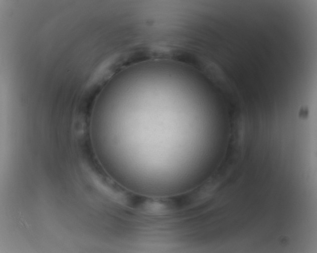 X0000114650706200910201509