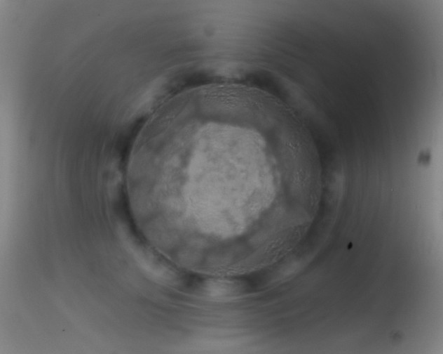 X0000114650707200910201509