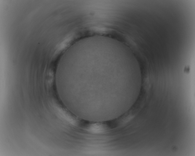 X0000114650708200910201508