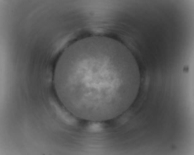 X0000114650710200910201508