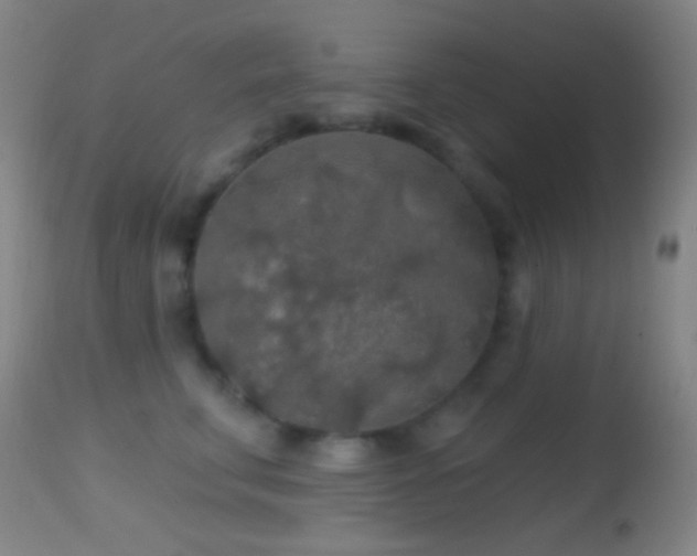 X0000114650711200910201508