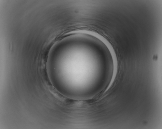 X0000114650713200910201508