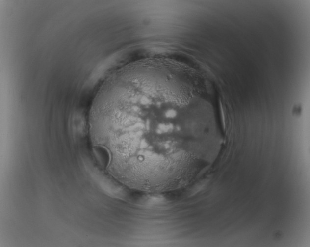 X0000114650715200910201508