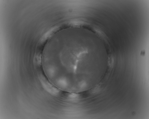 X0000114650718200910201508