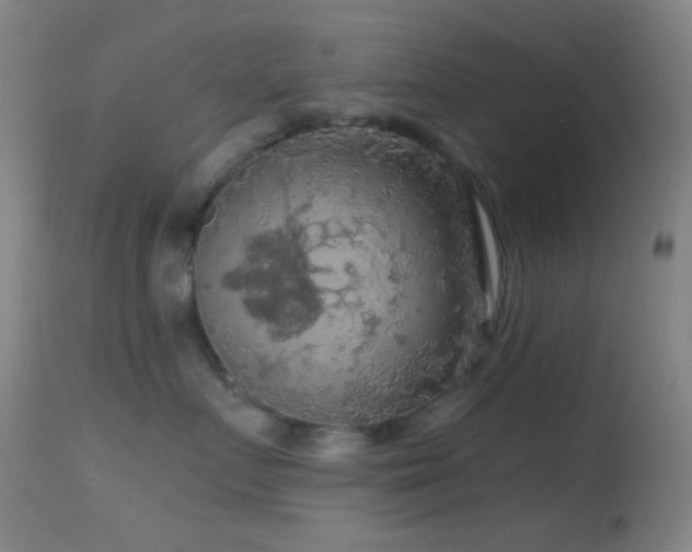 X0000114650719200910201508