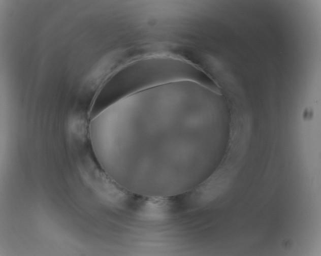 X0000114650720200910201508