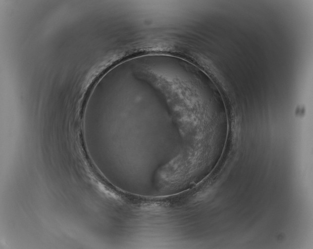 X0000114650721200910201508