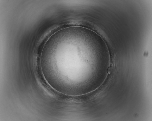 X0000114650722200910201508