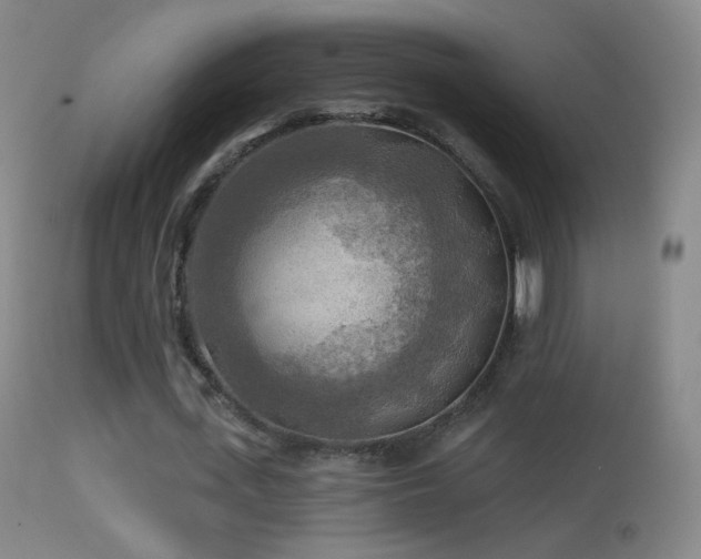 X0000114650723200910201508