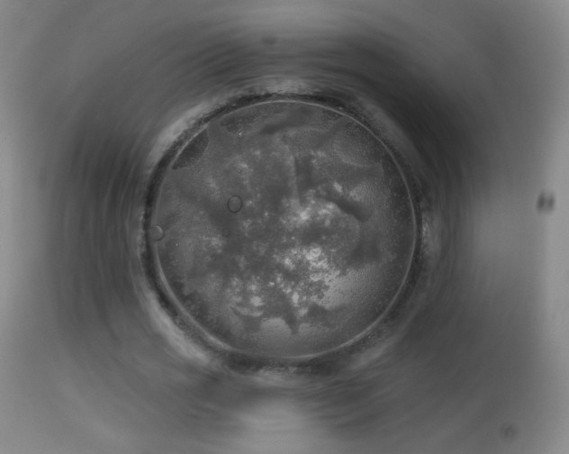 X0000114650725200910201508