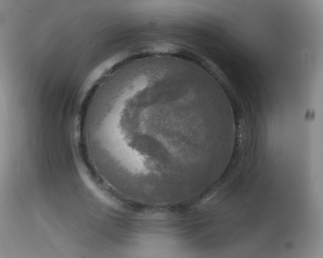 X0000114650726200910201508