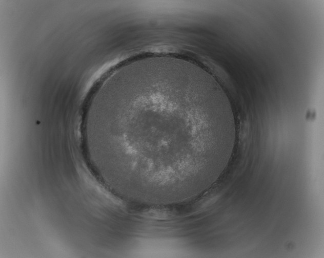 X0000114650727200910201508