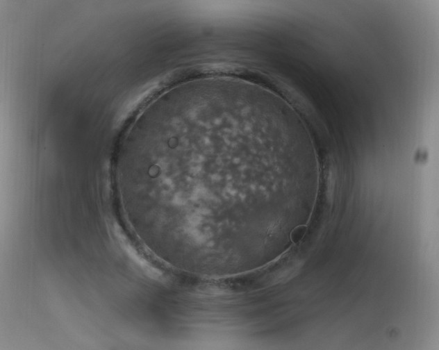 X0000114650729200910201508