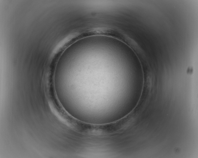 X0000114650730200910201508