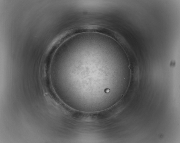 X0000114650731200910201508