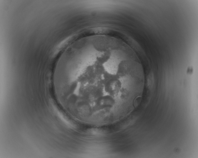 X0000114650733200910201508