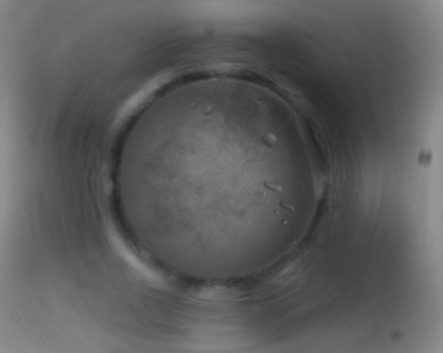 X0000114650734200910201508