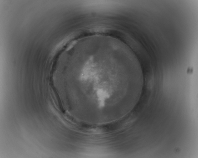 X0000114650735200910201508