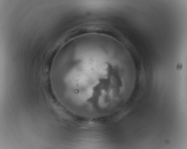 X0000114650737200910201508