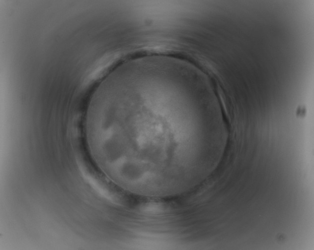 X0000114650738200910201508