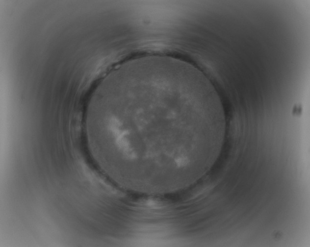 X0000114650739200910201508