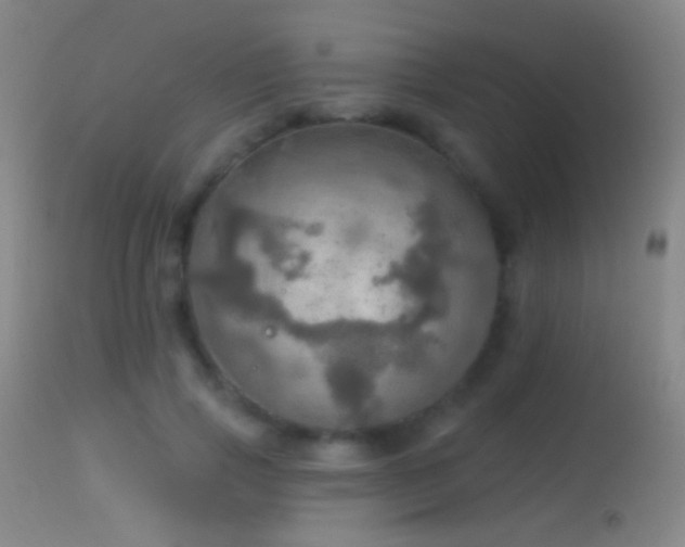 X0000114650741200910201508