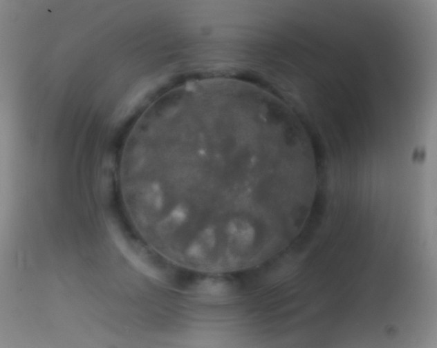 X0000114650742200910201508