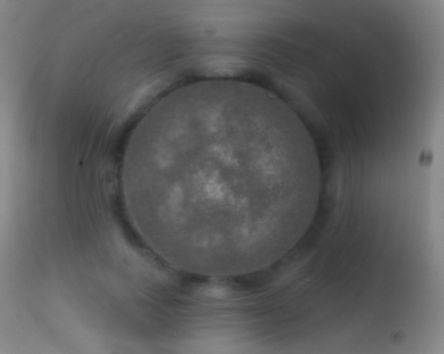 X0000114650743200910201508