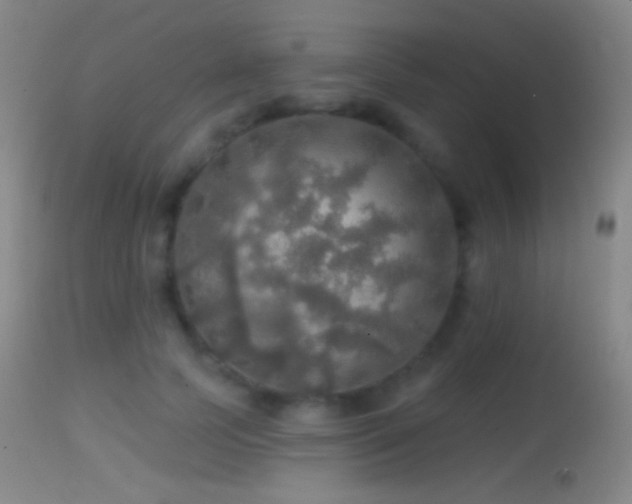 X0000114650745200910201508