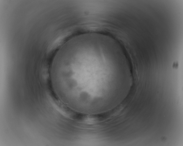 X0000114650746200910201508