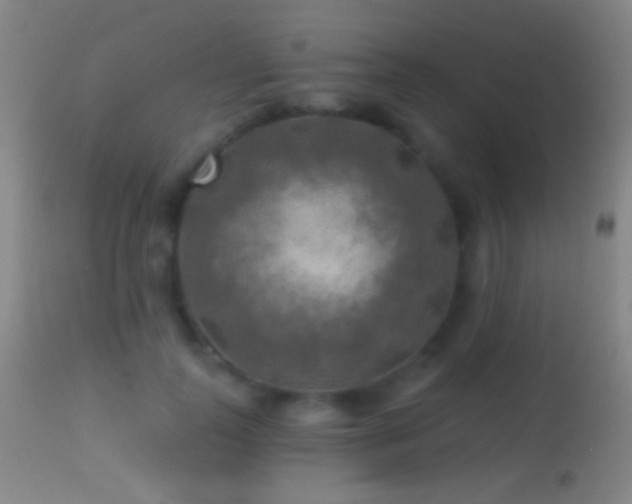 X0000114650747200910201508