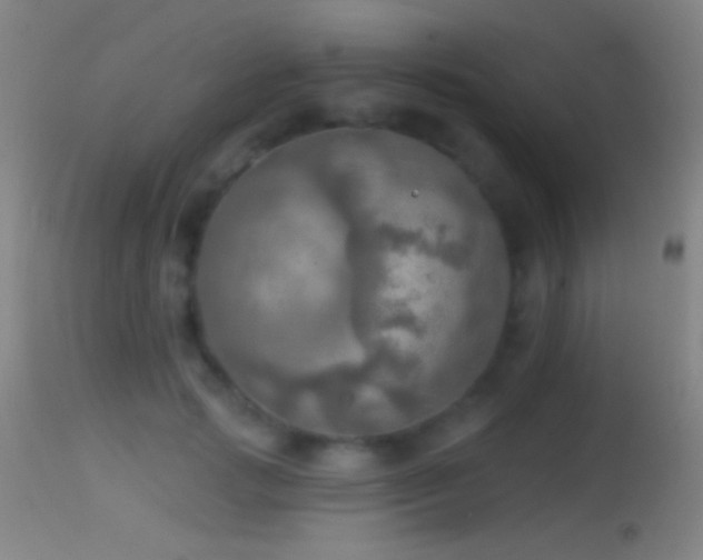 X0000114650749200910201508