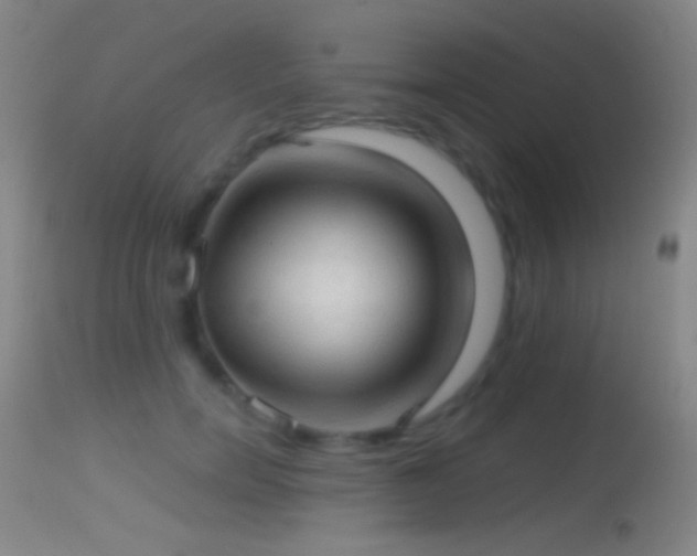 X0000114650750200910201508