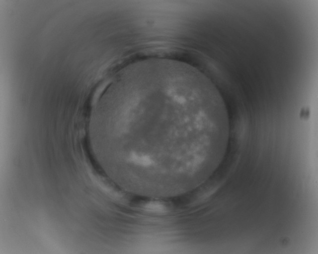 X0000114650751200910201508