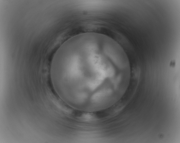 X0000114650753200910201508